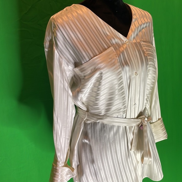 Aritzia, Zelle shirt, belted , Blouse Silk - Picture 9 of 11